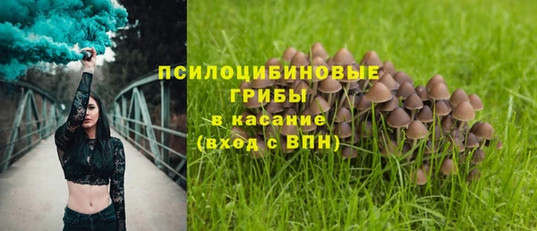 стафф Абдулино