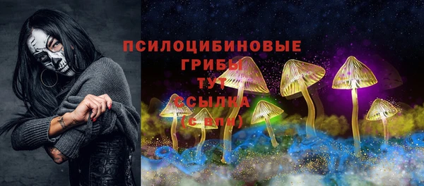 спайс Абаза
