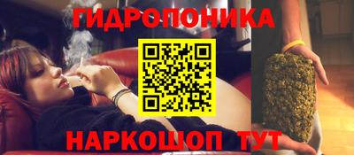 эйфоретик Мирный