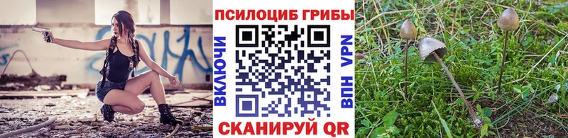 Галлюциногенные грибы GOLDEN TEACHER как найти Фурманов