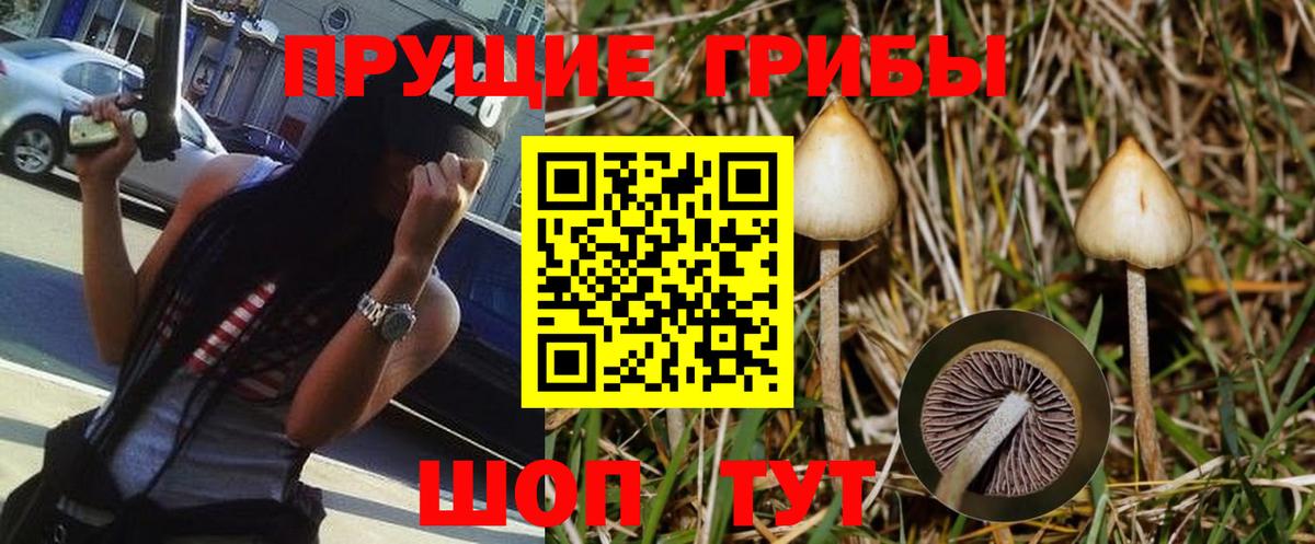 Фурманов  Галлюциногенные грибы MAGIC MUSHROOMS  Галлюциногенные грибы Psilocybine cubensis  Вход с VPN 